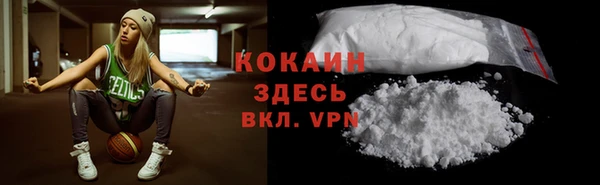 гидра Белокуриха