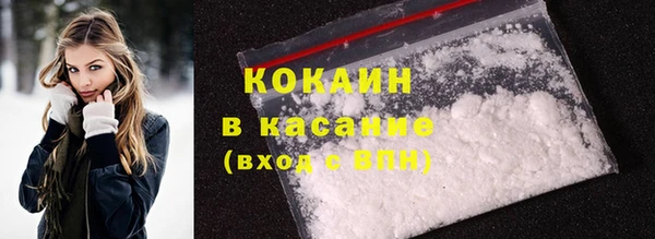индика Строитель