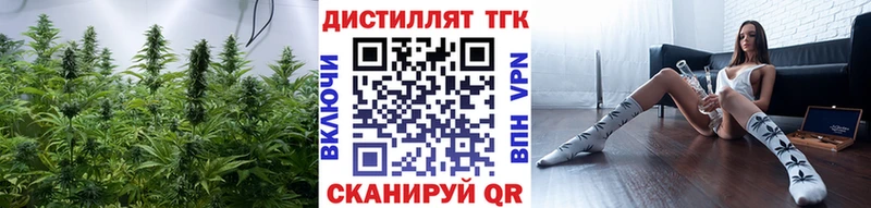 ТГК Wax  Кохма 